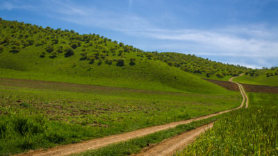 ژینگه‌