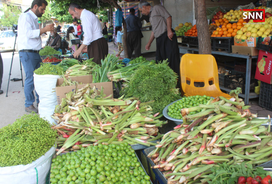 گیای بەهارە