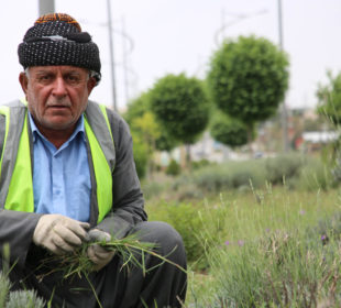 ژینگە پارێزانی سلێمانی
