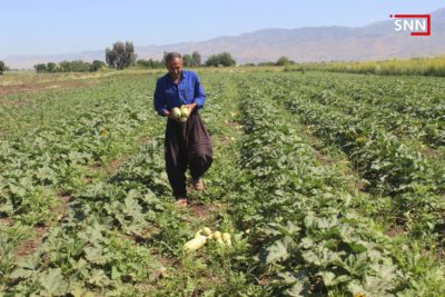 فەرەیدون فەتاح، یەكێكه‌ لە جوتیارانی گوندی مەستەكانی له‌ سنووری دەشتی شارەزوور