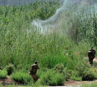 پشكنینى هێزه عێراقیيهكان بۆ چهكدارانى داعش | فۆتۆ: AP