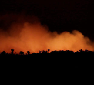 دهغڵودانێكى سووتاو | فۆتۆ: Reuters