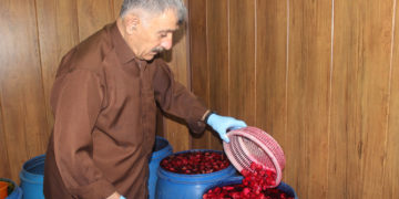 محەمەد مەحمود، پیشه‌وه‌ر | فۆتۆ: عەلی حەمەسەعید / SNN
