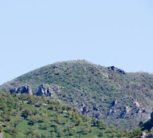 زینی وەرتێ