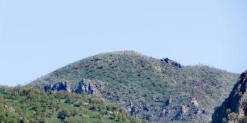 زینی وەرتێ