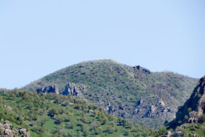زینی وەرتێ