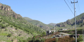زینى وهرتێ | فۆتۆ: محهمهد مستهفا \ SNN