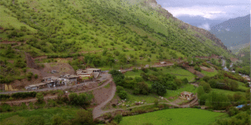 گوندى دەرگەڵە لە هەرێمى کوردستان | فۆتۆ: Mehmet Dargala