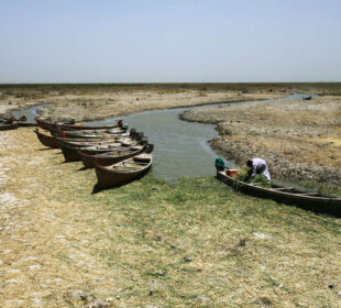 لهناوچوونى هۆرهكانى عێراق | فۆتۆ: HAIDAR HAMDANI/AFP/Getty Images