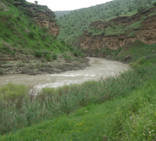 رووبارى سیروان | فۆتۆ: Saad Sazani