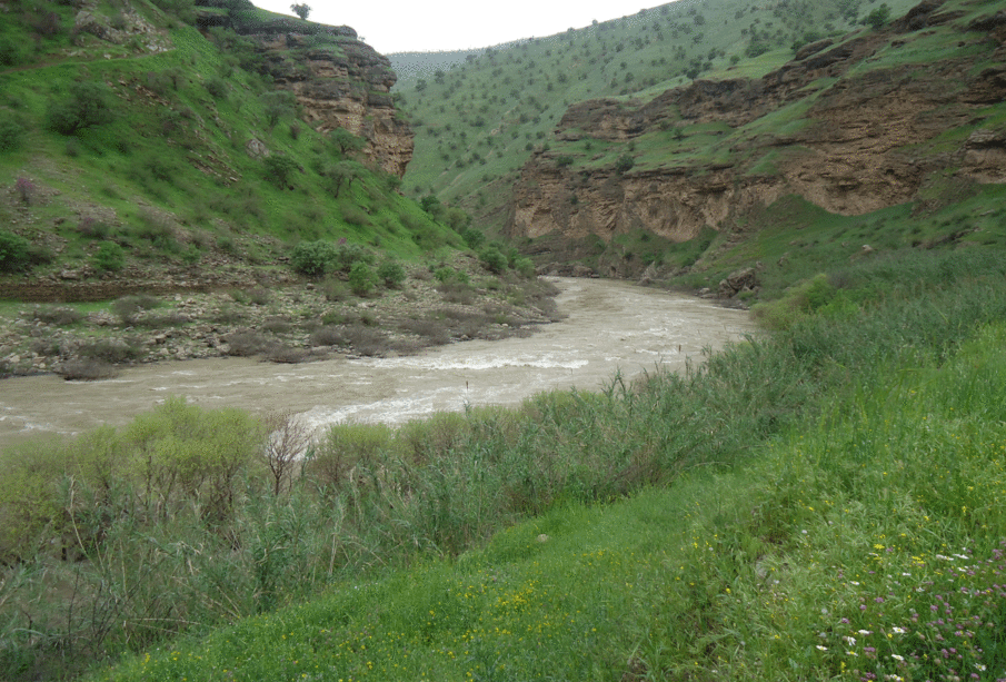 رووبارى سیروان | فۆتۆ: Saad Sazani