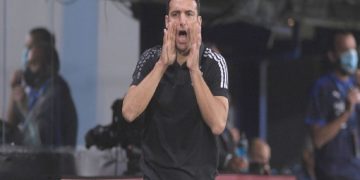 سکالۆنی