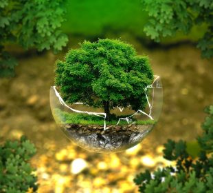 ژینگهى تهندروست و پاكژ | فۆتۆ: Outlook India