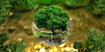 ژینگه‌ى ته‌ندروست و پاكژ | فۆتۆ: Outlook India
