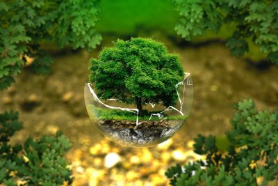 ژینگه‌ى ته‌ندروست و پاكژ | فۆتۆ: Outlook India