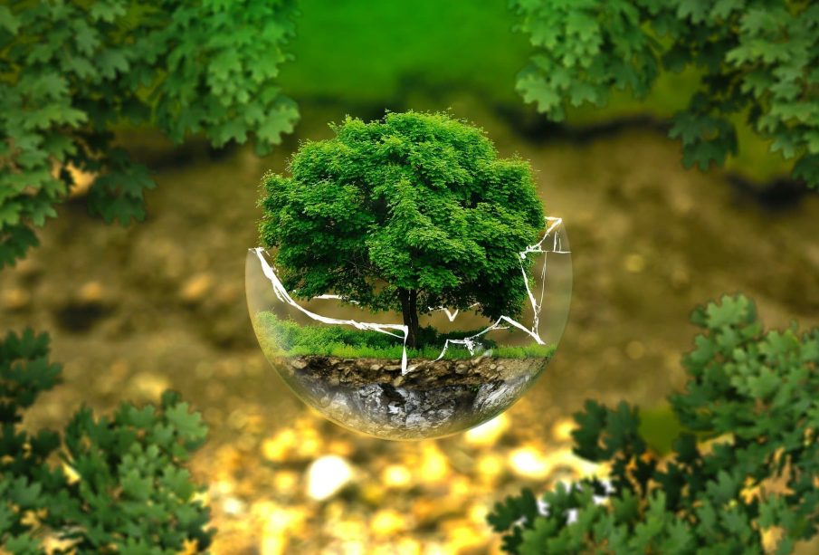 ژینگه‌ى ته‌ندروست و پاكژ | فۆتۆ: Outlook India