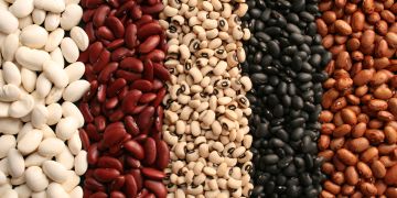 چهند جۆرێك له فاسۆلیاى وشك | فۆتۆ: Eatingwell