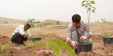 ههڵمهتى چاندنى یهك ملیۆن نهمان له ئاخجهلهر | فۆتۆ: SNN