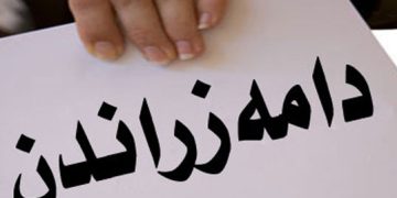 دامهزراندن له كهرتى گشتى | فۆتۆ: KRG