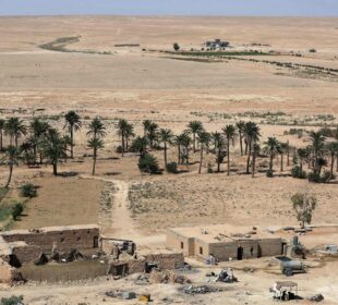 بیابانى ساهیل له باكوورى ڕۆژههڵاتى بهغدا | فۆتۆ: AL-RUBAYE AFP