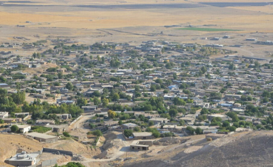 سەوزکردنی مەخمور