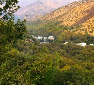 سروشتى ناحیهى بیاره | فۆتۆ: Rudaw